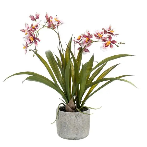 Kunstplant - Orchidee - Bordeaux - 45cm  BotanicBridge