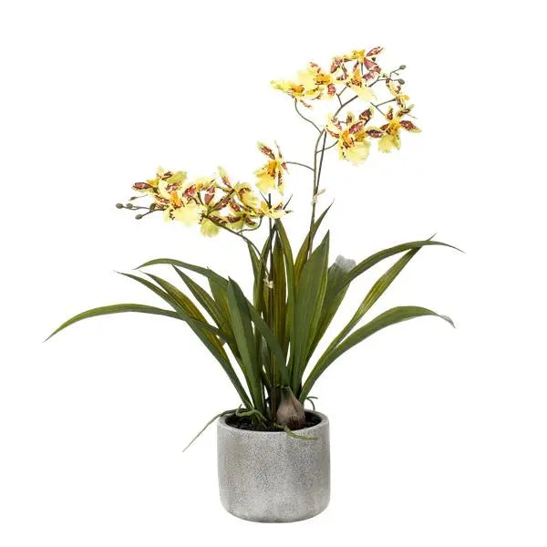 Kunstplant - Orchidee - Geel - 45cm  BotanicBridge