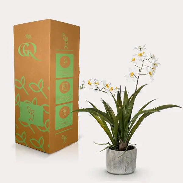 Kunstplant - Orchidee - Wit - 45cm  BotanicBridge