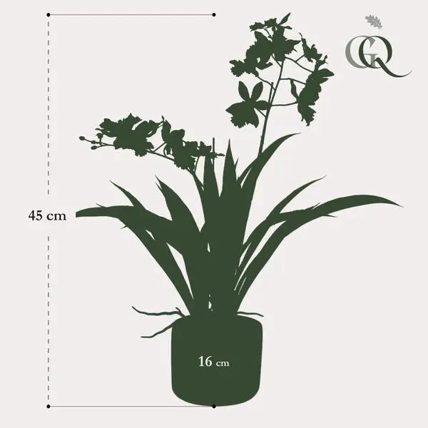 Kunstplant - Orchidee - Wit - 45cm  BotanicBridge