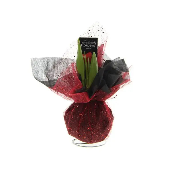 No Water Flowers® (wax amaryllis) | Wrapz - Red + Red flower  BotanicBridge