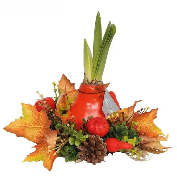 No Water Flowers® (wax amaryllis) | Wreath Autumn - Red flower  BotanicBridge