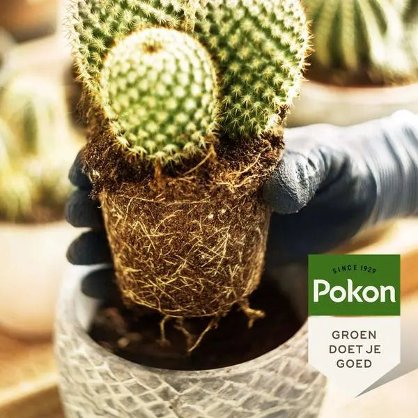 Pokon cactus & vetplant - Potgrond - 5L  BotanicBridge