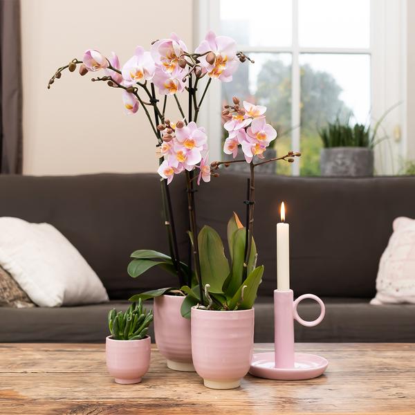 Kolibri Home | Glazed bloempot - Roze keramieken sierpot met glans - Ø6cm  BotanicBridge