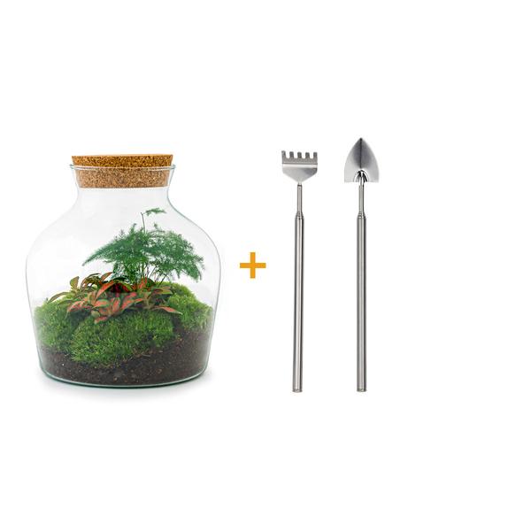 DIY terrarium - Little Joe - ↕ 21,5 cm - Rake + Shovel  BotanicBridge