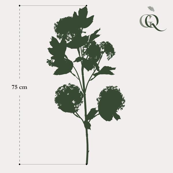 Kunstbloemen Solo - Crème - Viburnum Opulus Branches - x 4 - 75cm  BotanicBridge