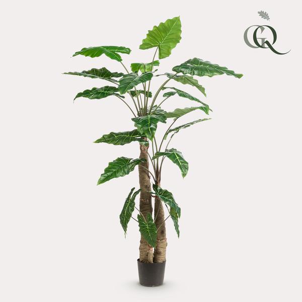 Kunstplant - Alocasia - Olifantsoor - 180 cm  BotanicBridge