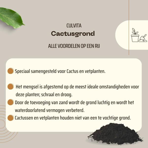 Culvita - Cactusgrond 5 liter - potgrond geschikt voor Cactus en vetplanten  BotanicBridge