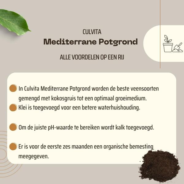 Culvita - Mediterrane Potgrond 40 Liter inclusief RhizoPlus - potgrond mediterrane planten o.a. geschikt voor olijfbomen, citrus en palmen  BotanicBridge