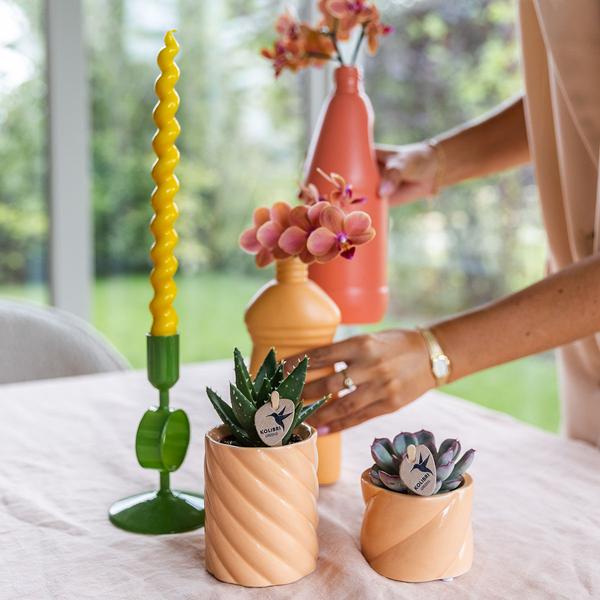 Kolibri Home | Candy sierpot - Peach - Ø6cm  BotanicBridge