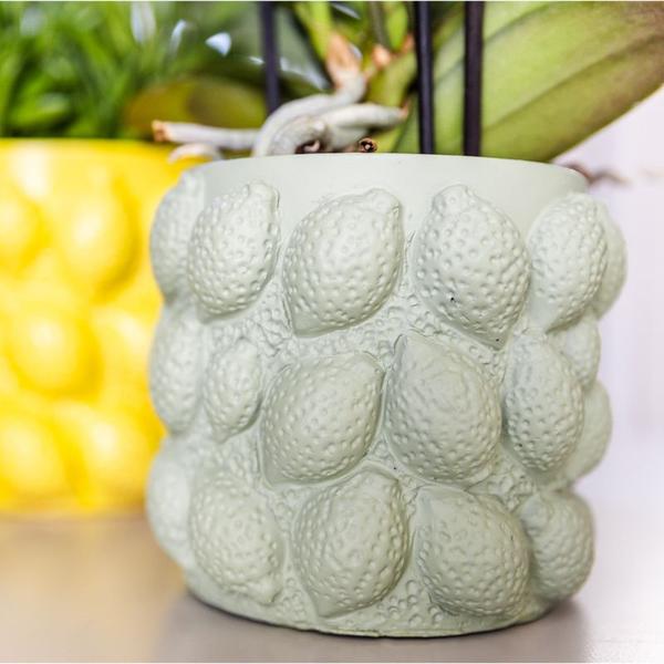 Kolibri Home | Citrus pot groen - Ø12cm  BotanicBridge