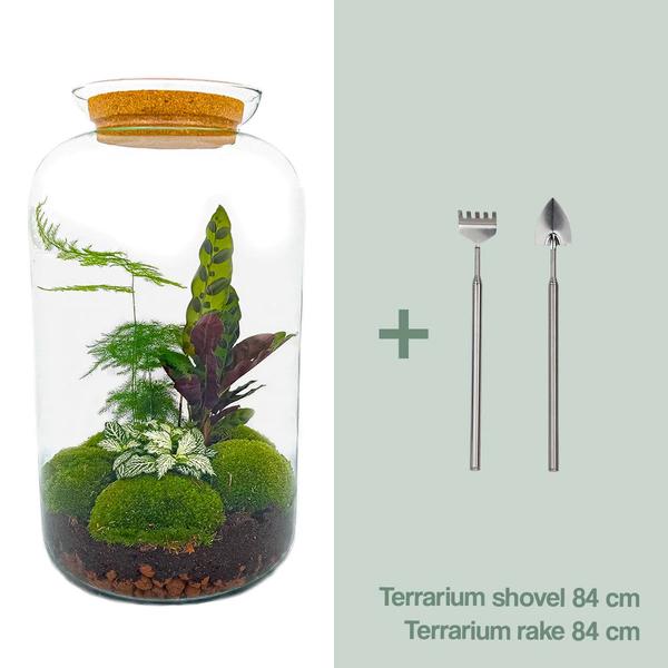 DIY terrarium - Botanical Sven XL - ↕ 43 cm - Rake + Shovel  BotanicBridge