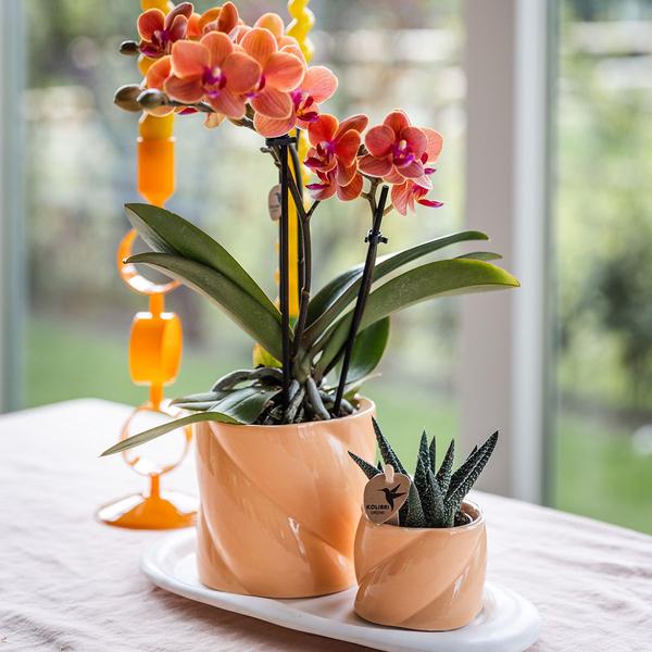 Kolibri Home | Candy sierpot - Peach - Ø9cm  BotanicBridge