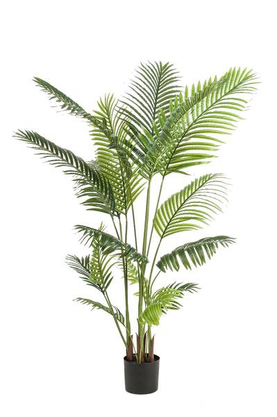 Kunstplant - Howea Forsteriana  - 160 cm  BotanicBridge