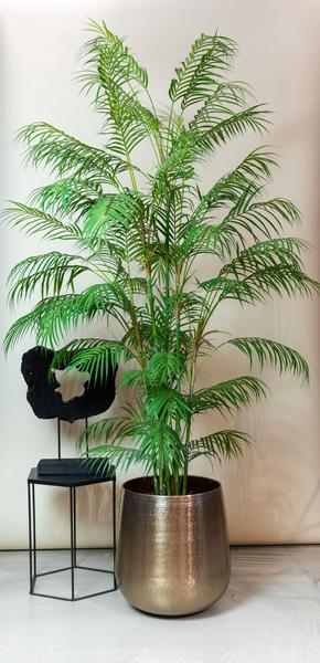 Kunstplant - Chamaedorea Elegans - Bergpalm - 180 cm  BotanicBridge