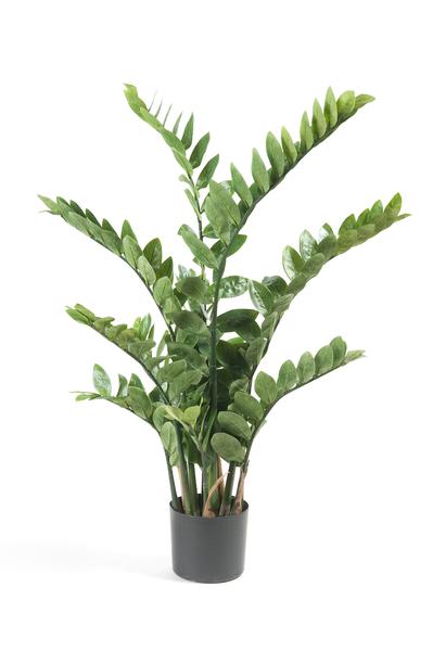 Kunstplant - Zamioculcas - Kamerpalm - 110 cm  BotanicBridge