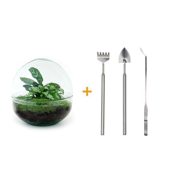 DIY terrarium - Dome - ↕ 20 cm - Rake + Shovel + Tweezer  BotanicBridge