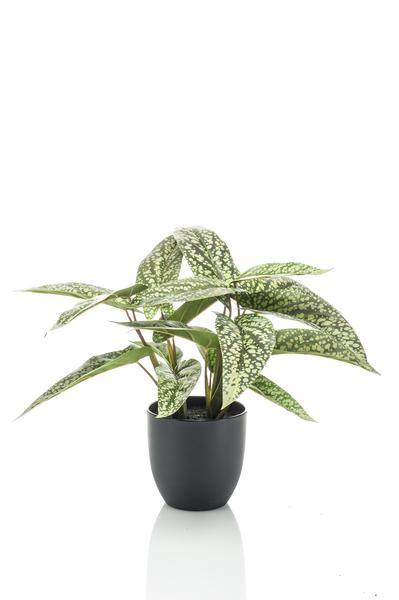 Kunstplant - Calathea Dots - Schaduwplant - 38 cm  BotanicBridge