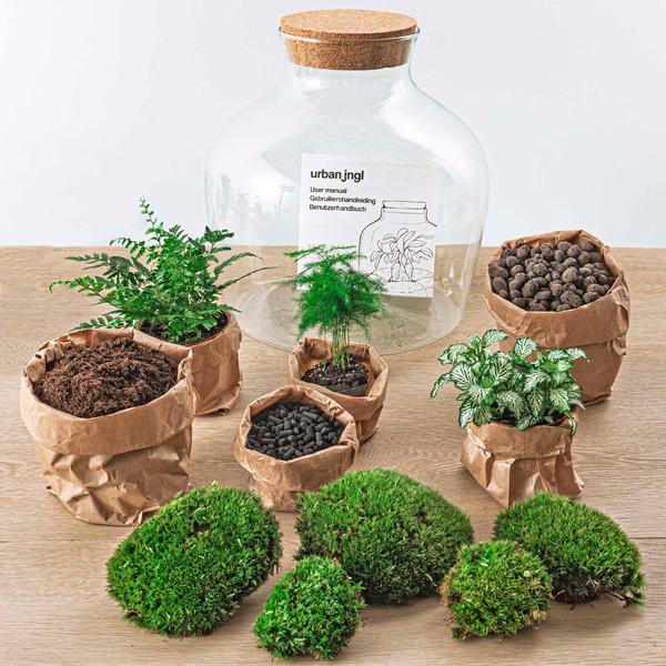 DIY terrarium - Fat Joe Groen - ↕ 30 cm - Rake + Shovel + Tweezer + Scissors  BotanicBridge