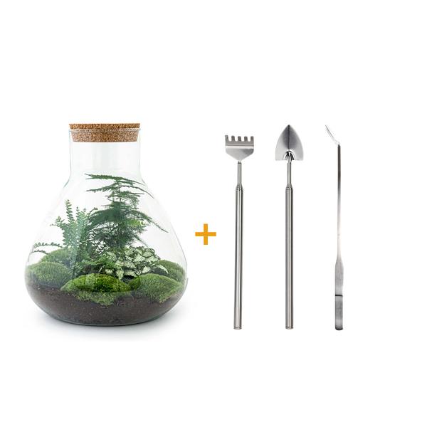 DIY terrarium - Sam XL - ↕ 35 cm - Rake + Shovel + Tweezer  BotanicBridge