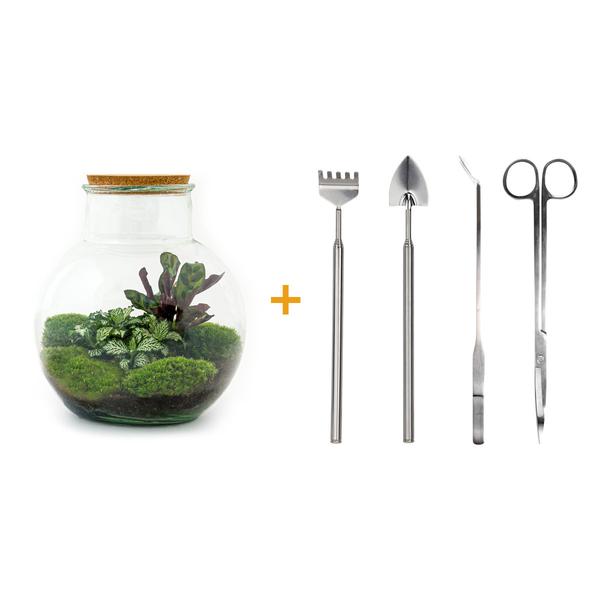 DIY terrarium - Teddy - ↕ 26,5 cm - Rake + Shovel + Tweezer + Scissors  BotanicBridge