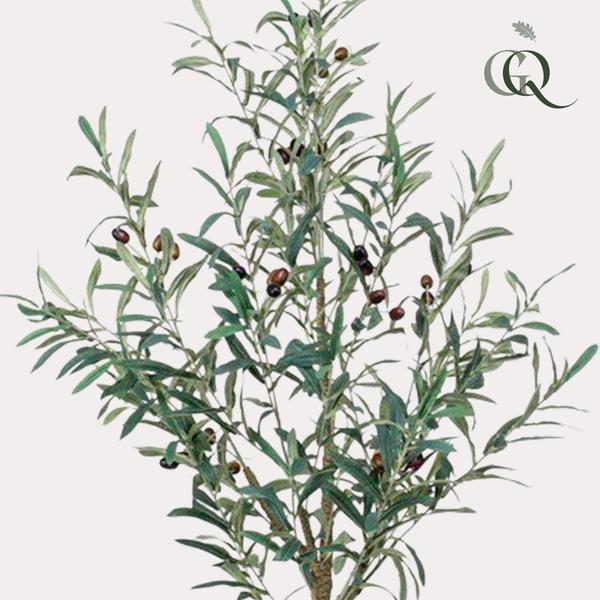 Kunst Olijfboom -  Olea europaea - Olijfboom - 115 cm  BotanicBridge