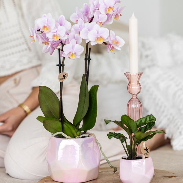 Kolibri Home I Pearl pot - Pink - Ø9cm  BotanicBridge