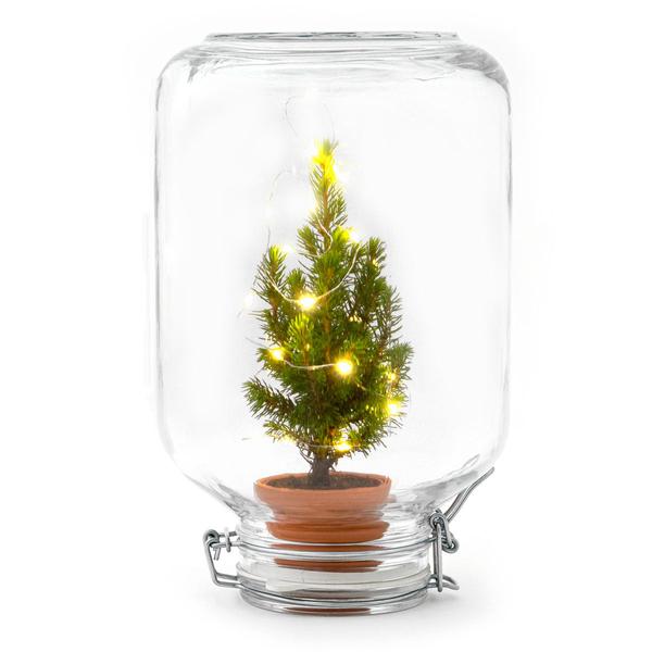 Easyplant - Christmas - Kerst decoratie  - ↕ 28 cm  BotanicBridge