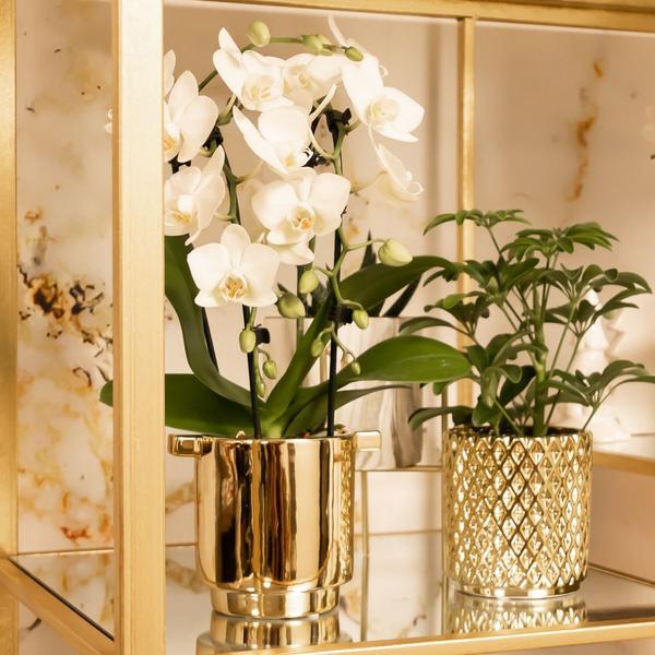 Kolibri Home | Metallic diamond bloempot - Gouden keramieken sierpot Ø9cm  BotanicBridge