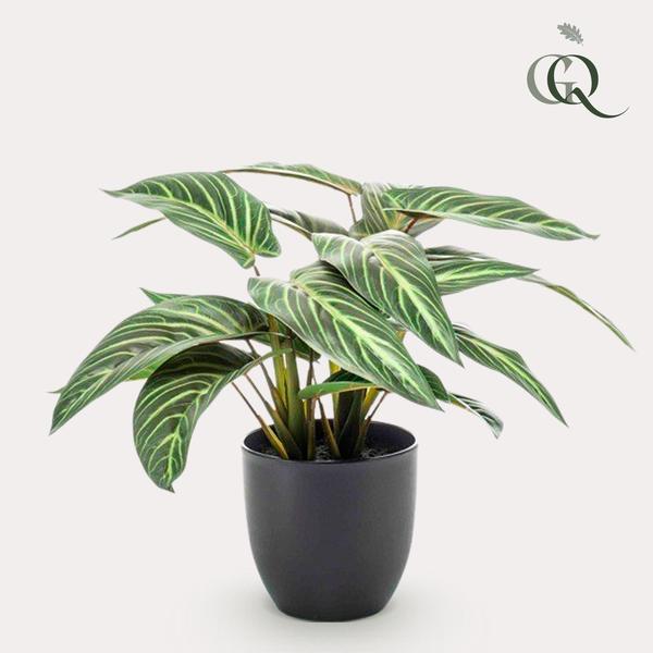 Kunstplant - Calathea Zebrina - Schaduwplant - 38 cm  BotanicBridge