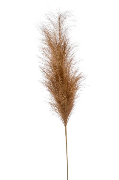 Kunstbloemen Solo - x 6 - 115cm - Pampas Plumes - Brown  BotanicBridge