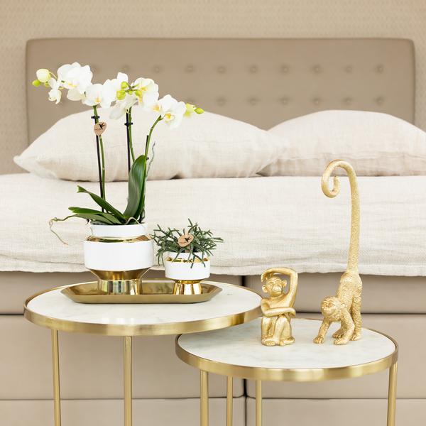 Kolibri Home | Ornament - Decoratie beeld Sitting Monkey - Gold  BotanicBridge