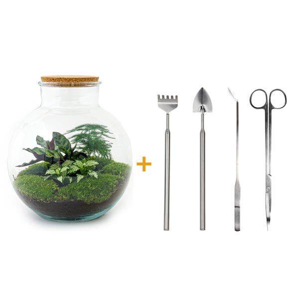 DIY terrarium - Bolder Bob - ↕ 30 cm - Rake + Shovel + Tweezer + Scissors  BotanicBridge