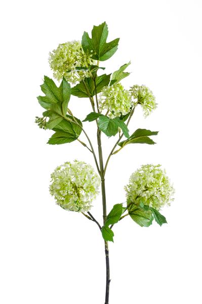 Kunstbloemen Solo - Crème - Viburnum Opulus Branches - x 4 - 75cm  BotanicBridge