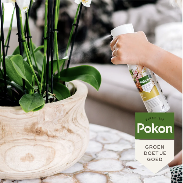 Pokon Powerspray orchidee 300 ml  BotanicBridge