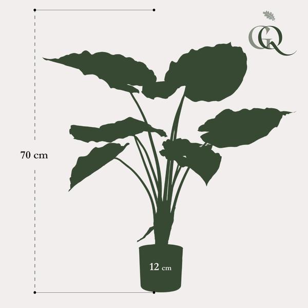 Kunstplant - Alocasia - Olifantsoor - 70 cm  BotanicBridge