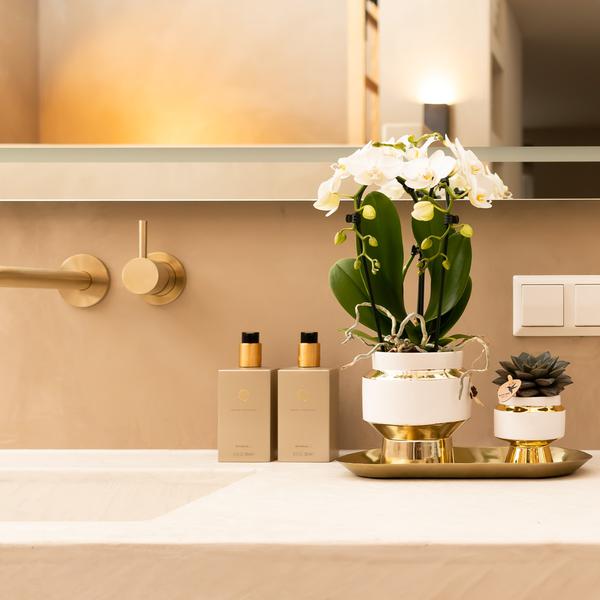 Kolibri Home | Le Chic bloempot - Witte keramieken sierpot met gouden details - Ø6cm  BotanicBridge