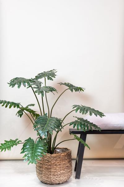 Kunstplant - Philodendron - 85 cm  BotanicBridge