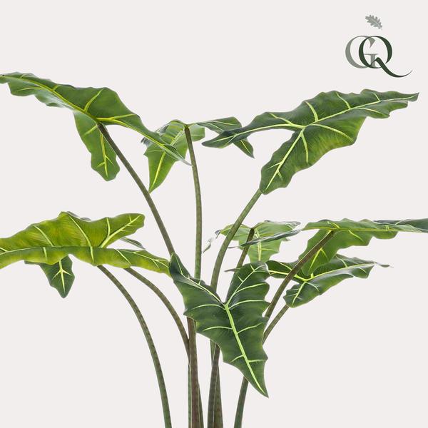 Kunstplant - Alocasia Frydek - Olifantsoor - 100 cm  BotanicBridge