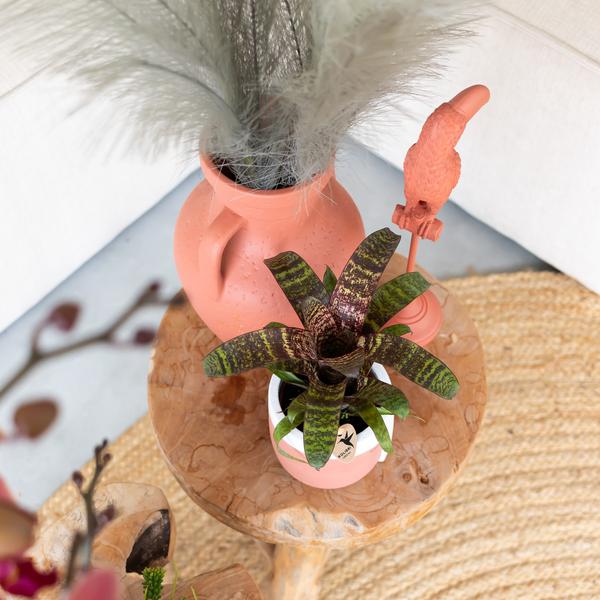 Kolibri Home | Ornament - Decoratie beeld Toucan - Terracotta  BotanicBridge