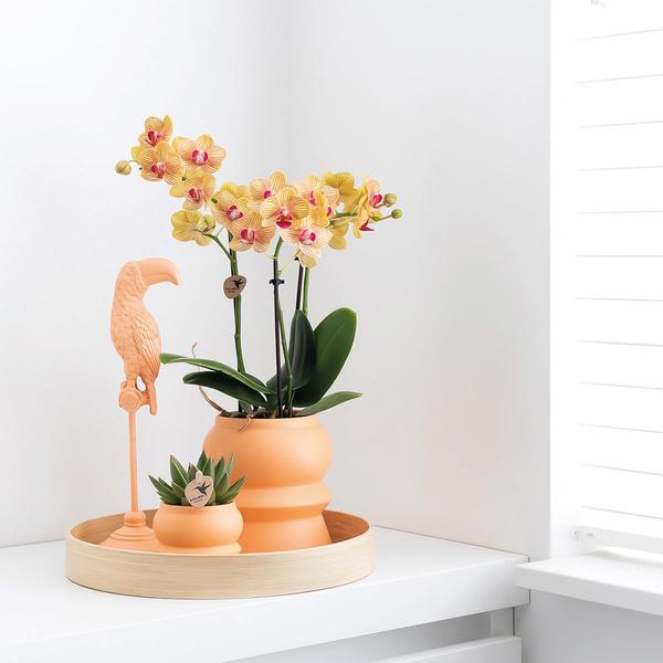 Kolibri Home | Ornament - Decoratie beeld Toucan - Peach  BotanicBridge