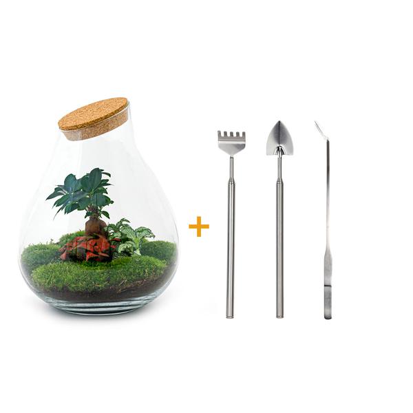 DIY terrarium - Drop XL Bonsai -↕ 37 cm - Rake + Shovel + Tweezer  BotanicBridge