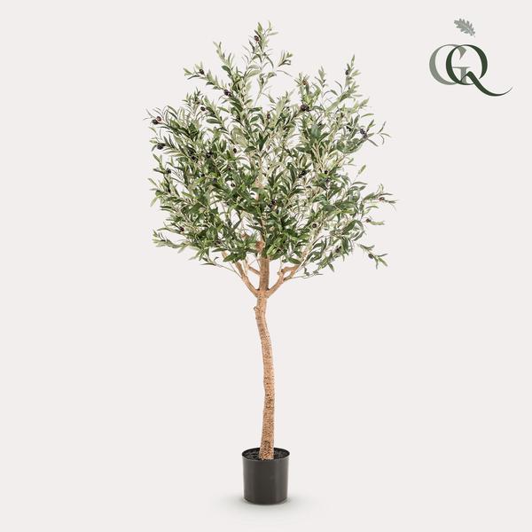 Kunst Olijfboom -  Olea europaea - Olijfboom - 180 cm  BotanicBridge