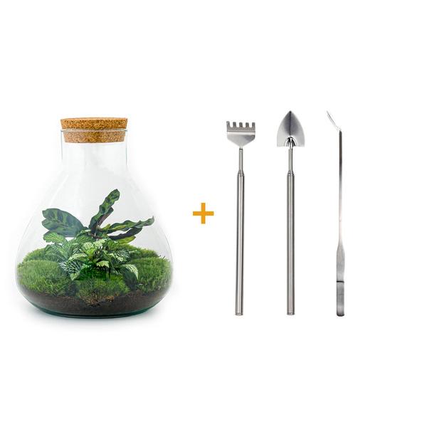 DIY terrarium - Sammie - ↕ 27 cm - Rake + Shovel + Tweezer + Scissors  BotanicBridge