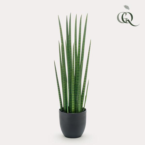 Kunstplant - Sanseveria Cylindrica - Vrouwentong - 70 cm  BotanicBridge