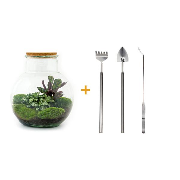 DIY terrarium - Teddy - ↕ 26,5 cm - Rake + Shovel + Tweezer  BotanicBridge