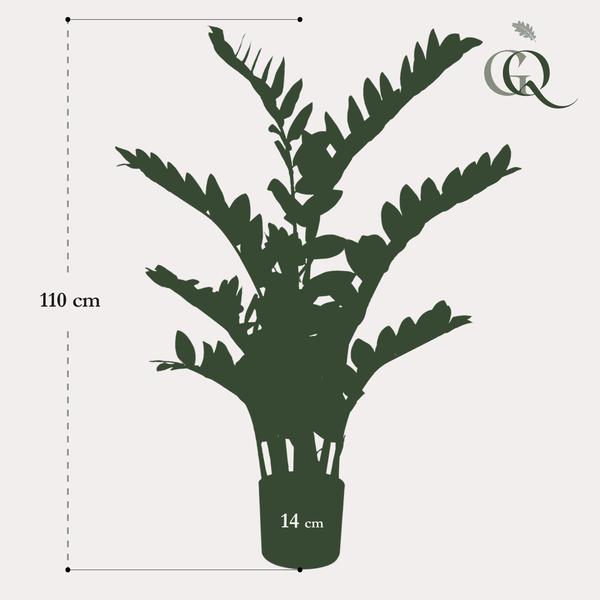 Kunstplant - Zamioculcas - Kamerpalm - 110 cm  BotanicBridge