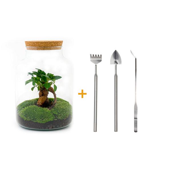 DIY terrarium - Milky met bonsai - ↕ 30 cm  - Rake + Shovel + Tweezer  BotanicBridge