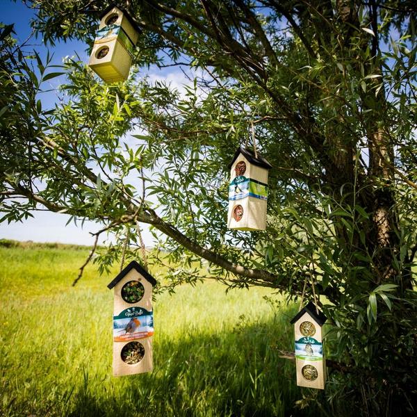 Bird-Buffet | Chalet feeder vogelhuisje | 500 gram - Meesjes  BotanicBridge