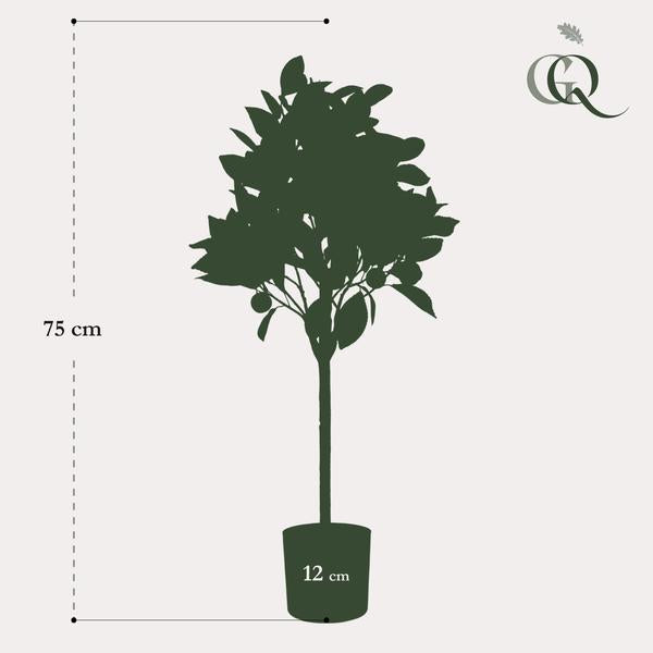 Kunstplant - Citrus Sinensis - Sinaasappelboom - 75 cm  BotanicBridge